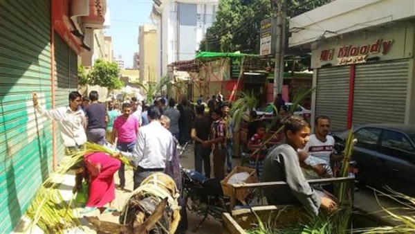 بالصور.. المنيا تتزين