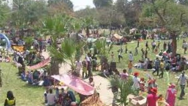 غرب الإسكندرية تتجمل