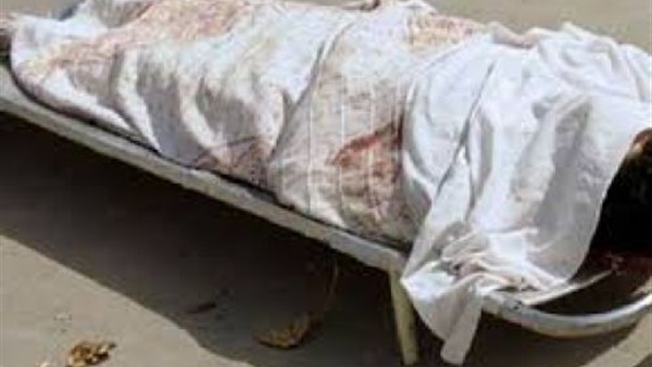 إصابة ربة منزل و