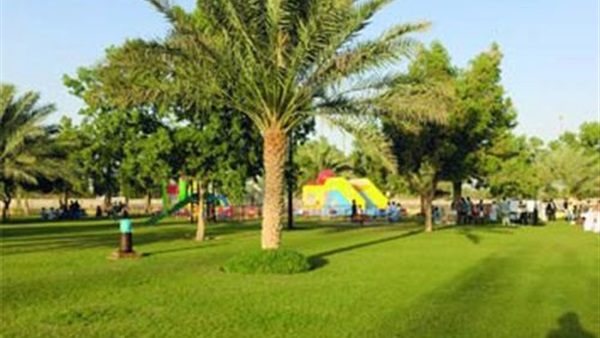 «الوادي الجديد» تعلن