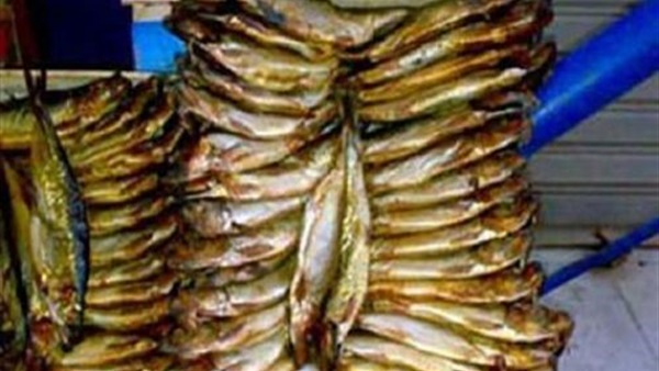 ضبط 6.500 طن سردين