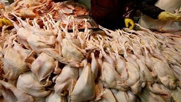 ضبط طن دواجن فاسدة