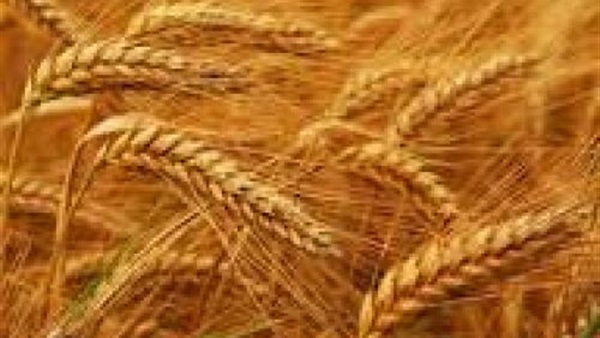 وزير التموين: استلام