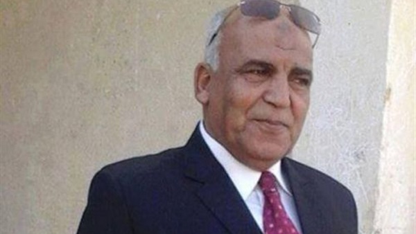 عضو ائتلاف دعم مصر