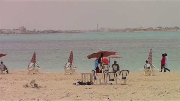 بالصور.. إقبال ضعيف