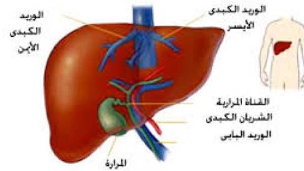 إنطلاق المؤتمر السنوي