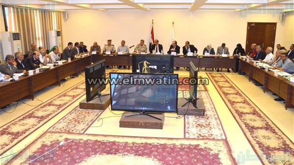 المجلس التنفيذي
