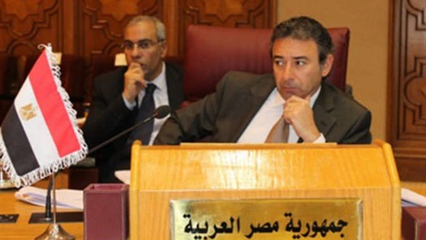 السفير المصري لدى