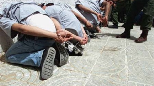 صوره ارشيفيه