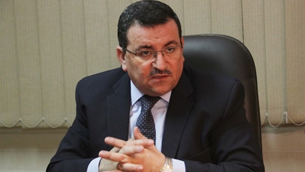النائب أسامة هيكل،