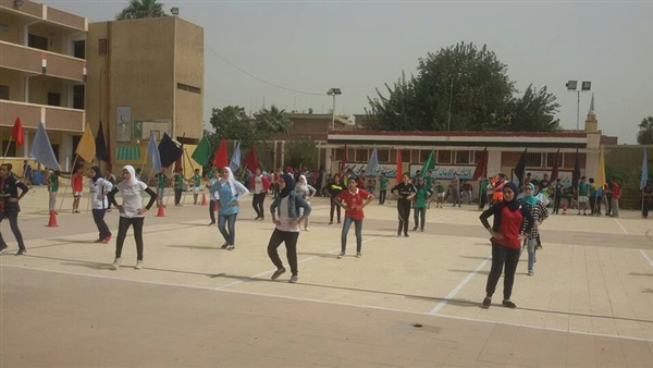 عروض احتفالات مديرية