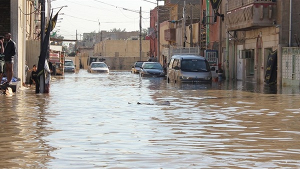 المواطن