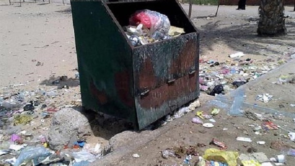 المواطن