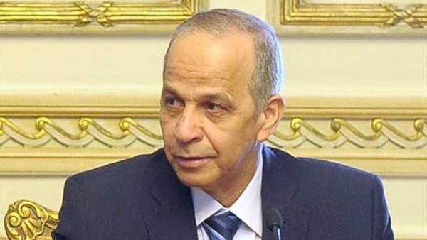 محافظ الوادى الجديد