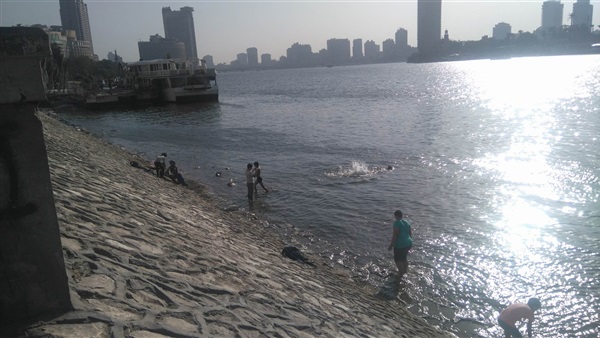 المواطن