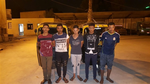 عصابة «البيضة»