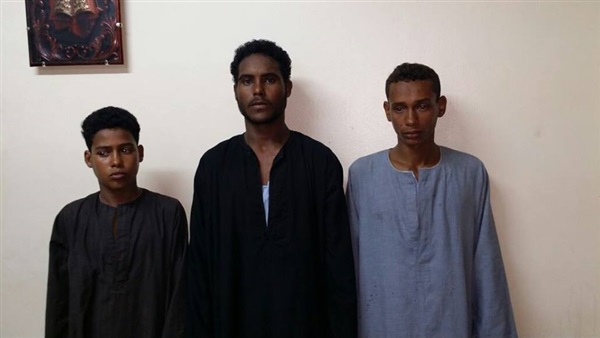 المواطن