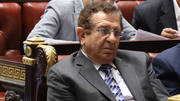 النائب يسرى المغازى