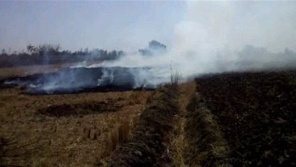 حر قس الأرز - أرشيفية
