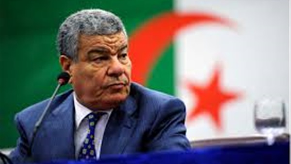 عمار سعداني