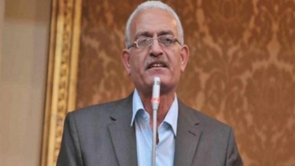 عاطف مغاوري، نائب