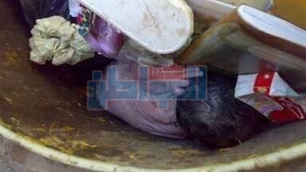 أطفال رضع في القمامة