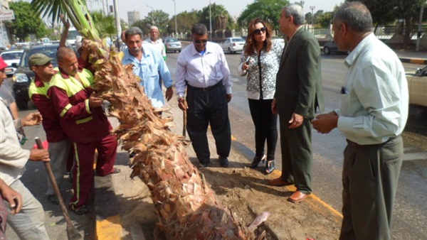 نائبة محافظ الجيزة