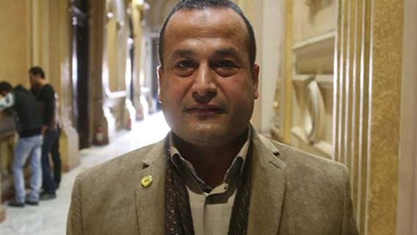 هشام عمارة، عضو مجلس