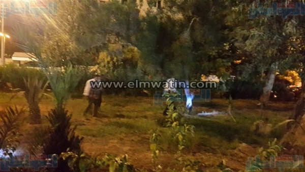 المعاينة الأولية