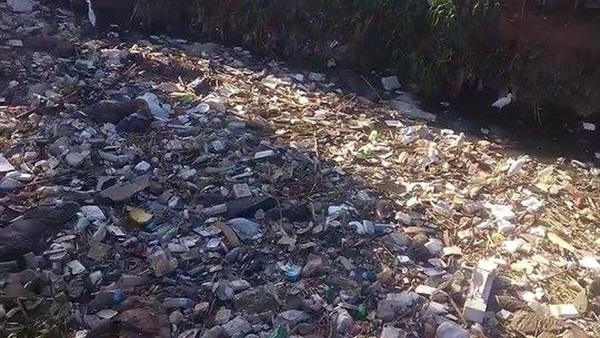 200 حمار مسلوخ بترعة