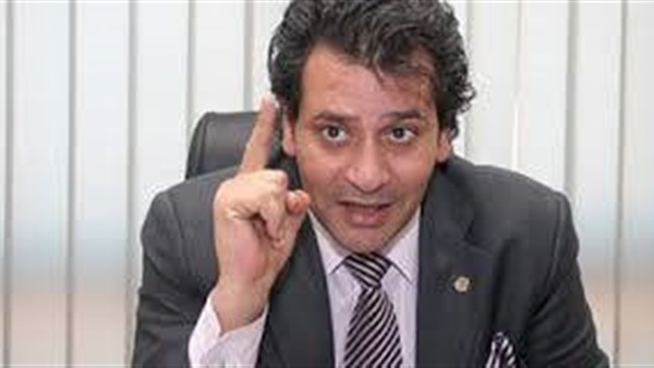 المستشار أنور الرفاعي،