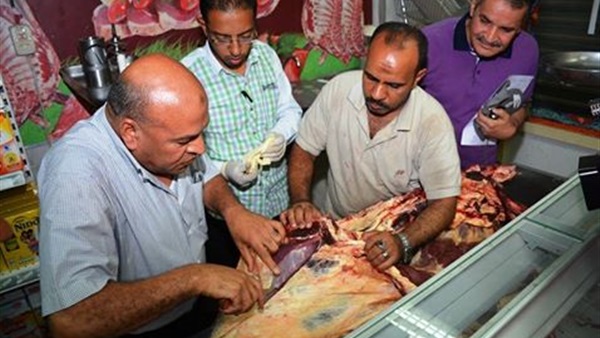ضبط 377 لحوم دواجن