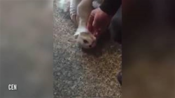 أطباء أتراك ينقذون