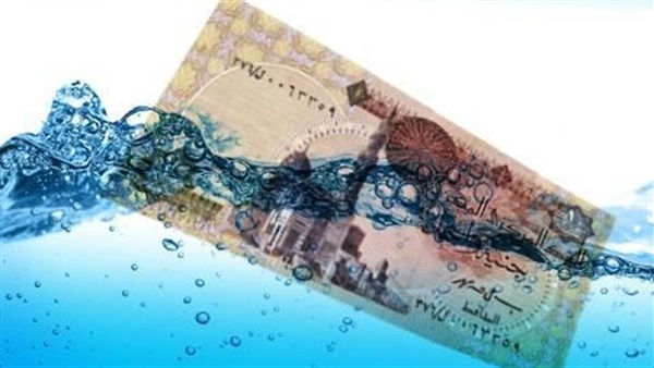 تعويم الجنيه