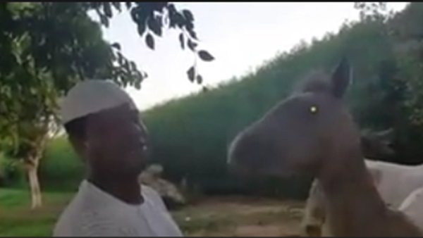 صعيدي يفوز بالانتخابات