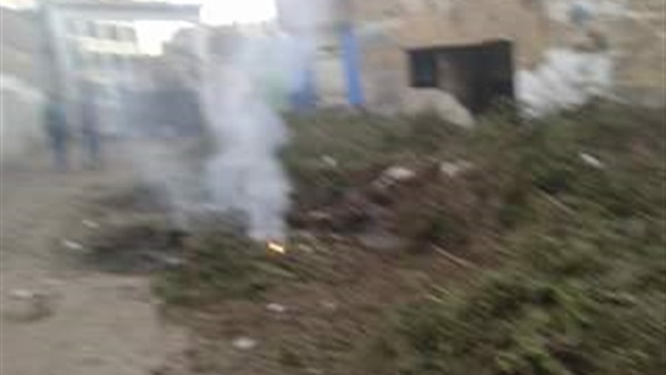 قطع الاشجار الموجودة