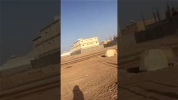 سعودي يقتل ذئبًا