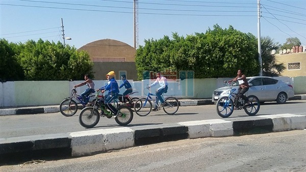 الشباب والرياضة تنظم