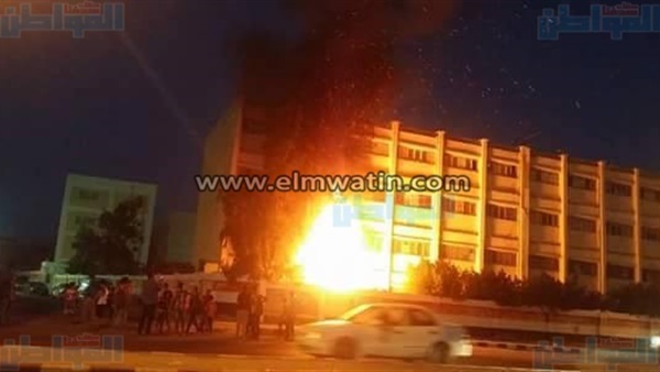 حريق في شجرة