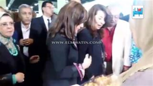 غادة والي، وزيرة