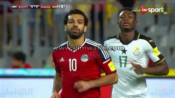 المواطن