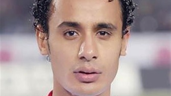 طارق السيد