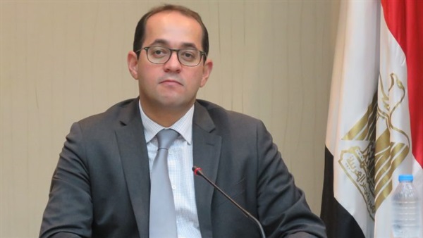 أحمد كجوك، نائب وزير