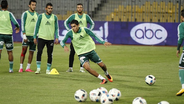المواطن