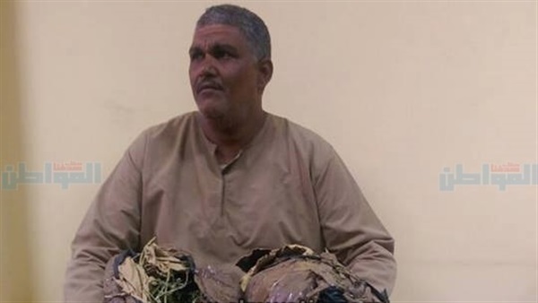 المواطن
