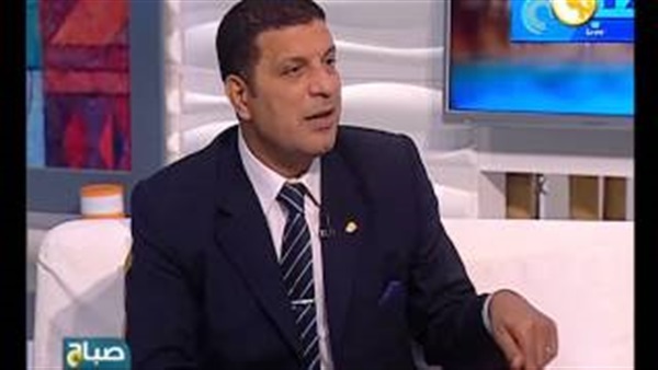 مختار غباشي، نائب