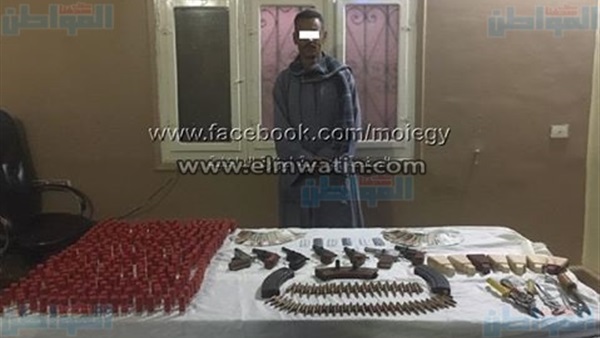 المواطن