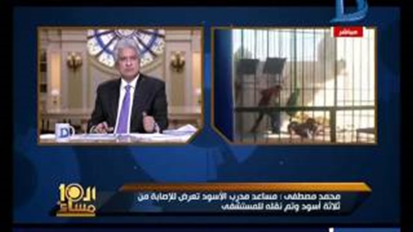 المواطن