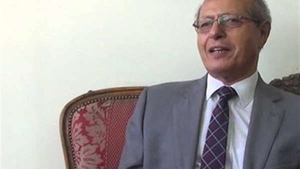 السفير رخا أحمد حسن،