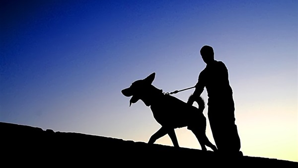 أرشيفية